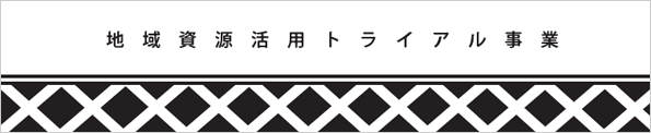 地域資源活用トライアル事業